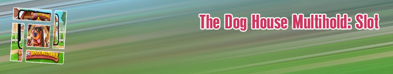 The dog house slot